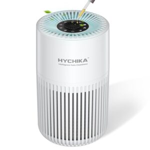 Purificatore d'aria con HEPA Filtra il 99