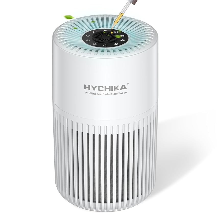 Purificatore d'aria con HEPA Filtra il 99
