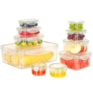 VINATO Set di 10 Contenitori per Alimenti con Coperchi