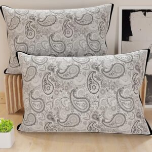 PETTI Artigiani Italiani - Coppia di Federe Cuscino 70x40 cm in Microfibra