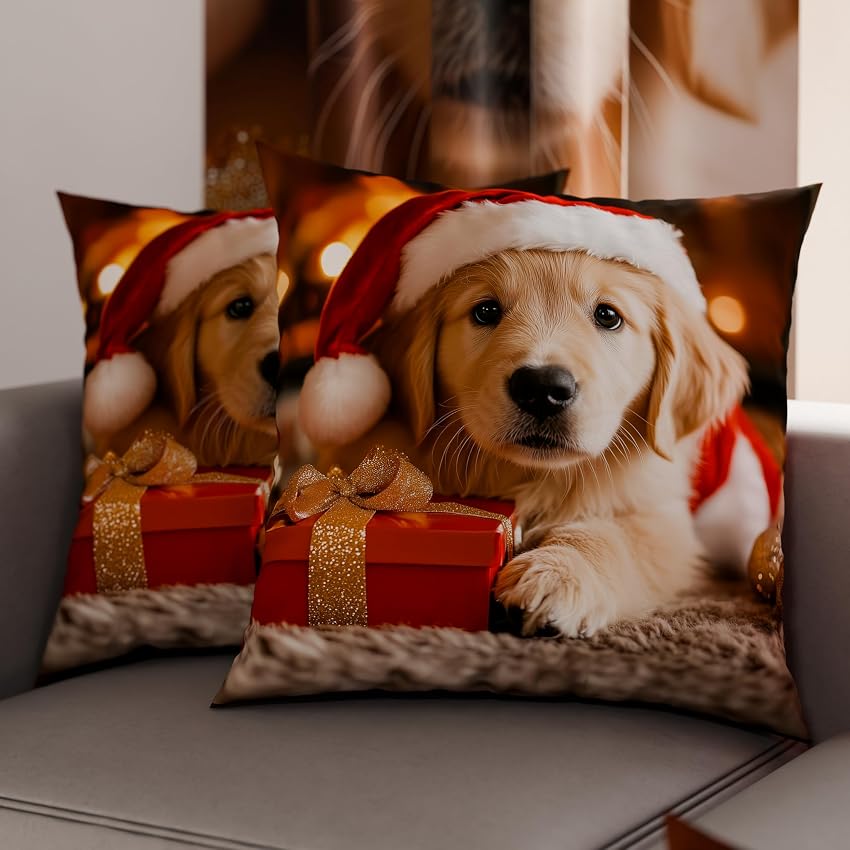 PETTI Artigiani Italiani - Coppia di Federe Cuscino 50x50 cm in Microfibra