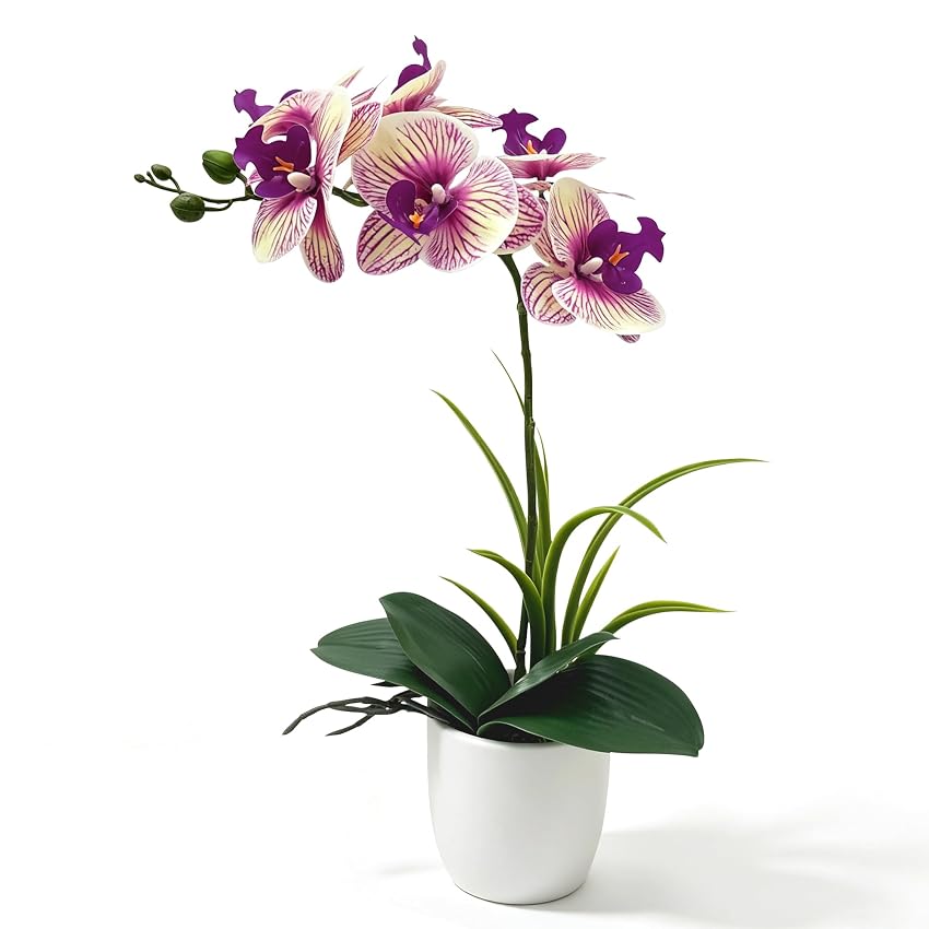 RidgeRover Orchidee Artificiali in Vaso